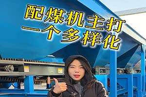现代化配煤机，集智能化、自动化于一体，让煤炭配比更加精准，生产更高效