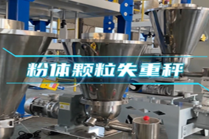 粉体颗粒失重秤